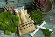Tampon Tribe Organic Tampons