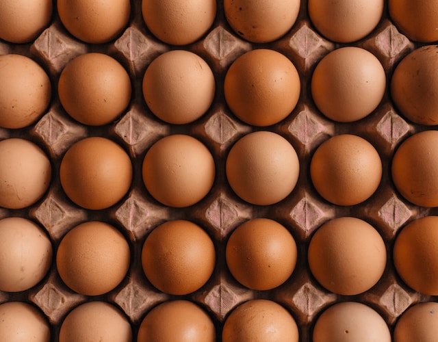 Eggs can help manage stress