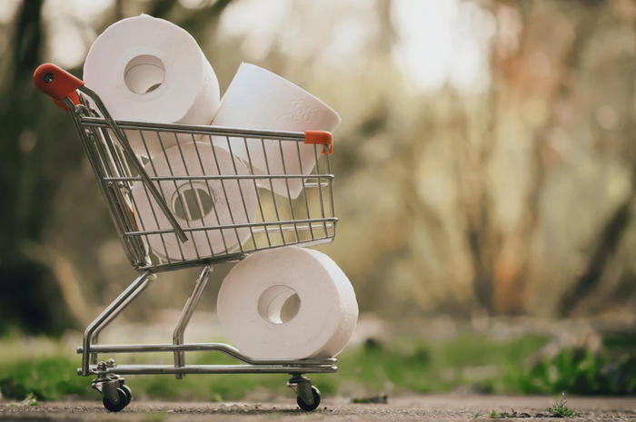 Miniature shopping cart with toilet paper rolls
