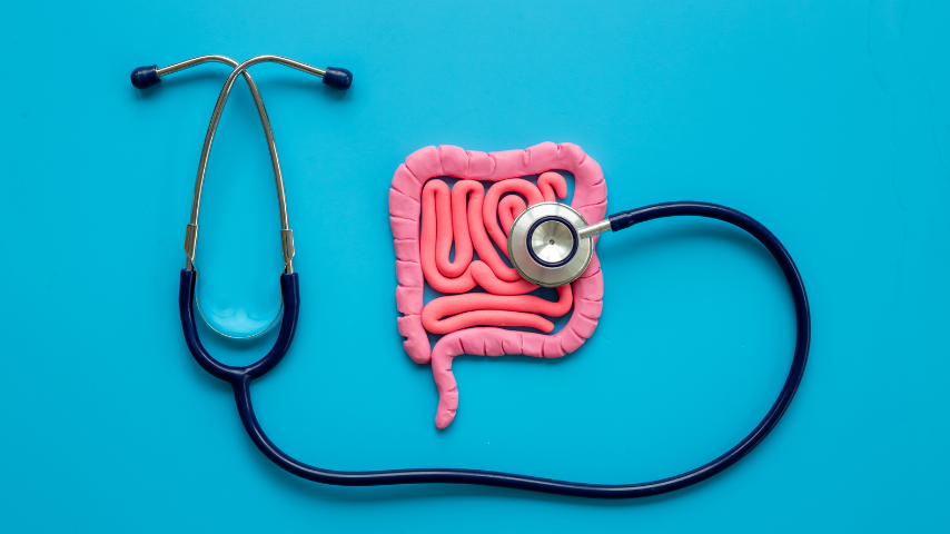 focus on gut health