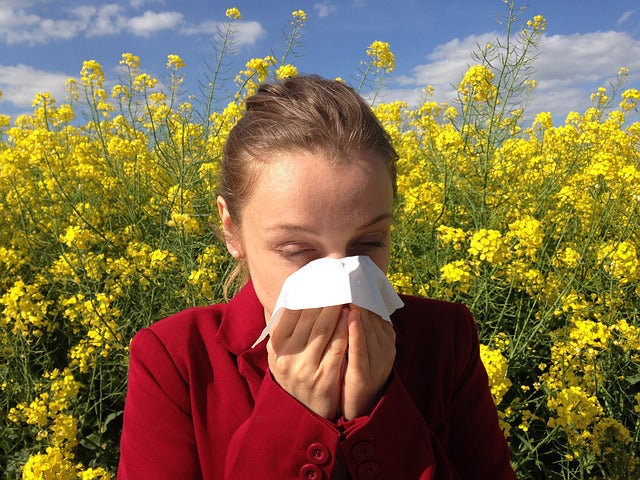 Woman blowing her nose due to seasonal allergies