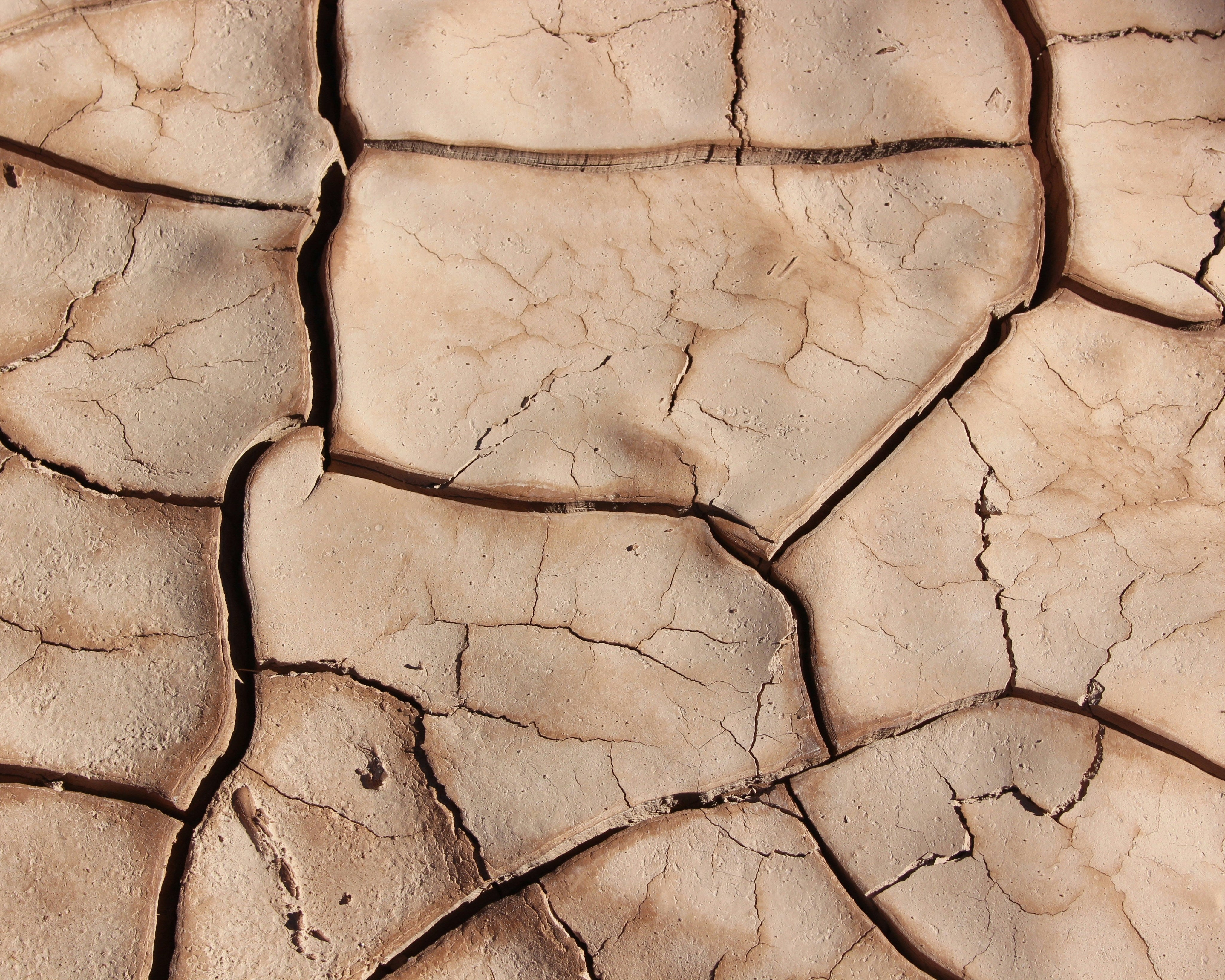 Image of dry land, to imitate lichen sclerosus