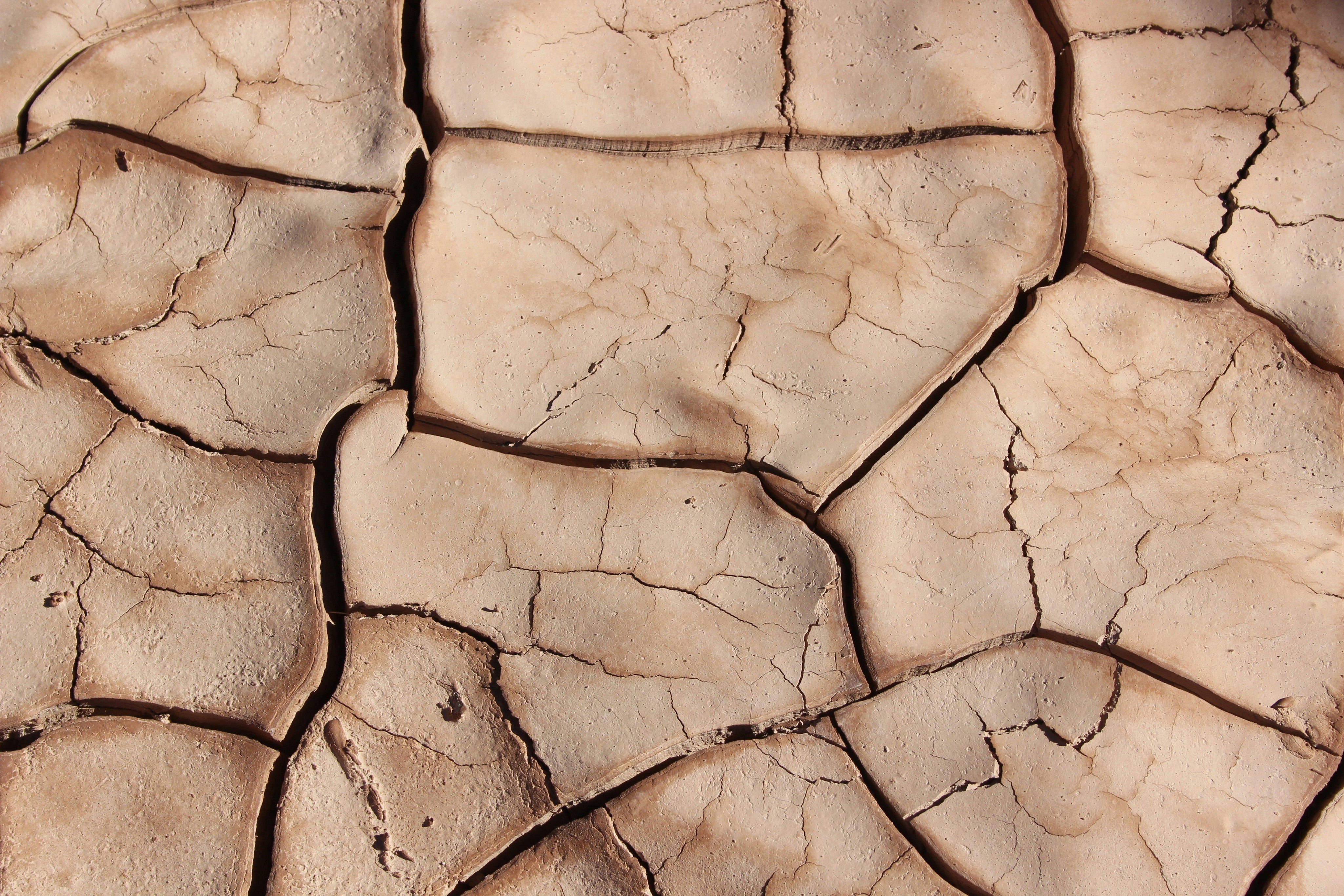 Image of dry land, to imitate lichen sclerosus