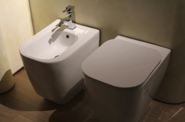 Bidet and toilet